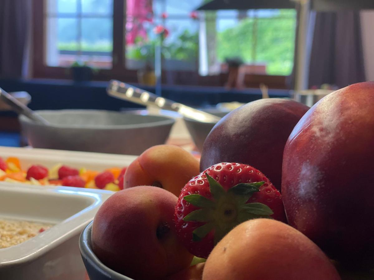 Erzhorn Hotell Arosa Eksteriør bilde